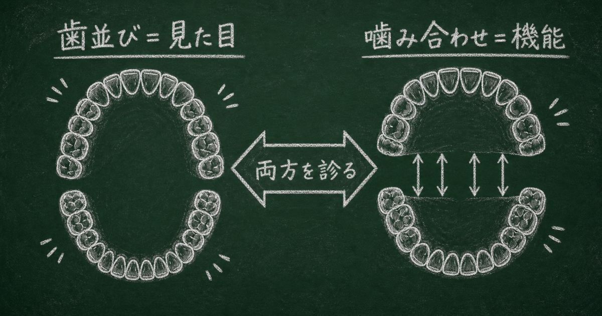 ■「歯並び」と「噛み合わせ」は何が違う?混同しやすいポイントを整理