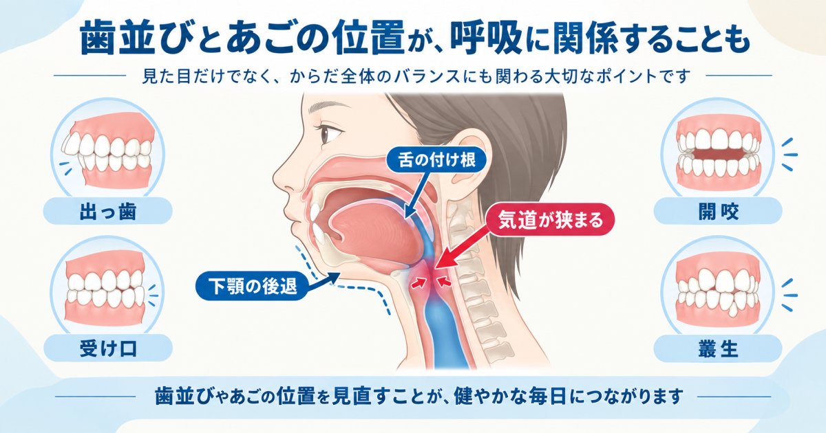 下顎の後退や歯並びの乱れが気道を狭める歯科的な仕組み
